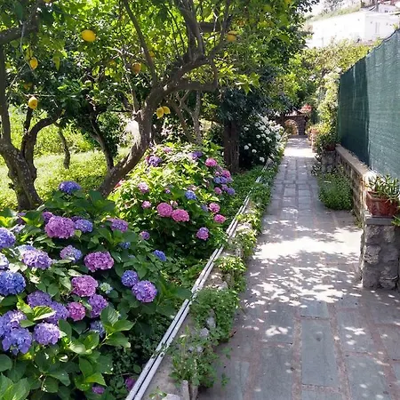 بيت للعطل Depandance Casa Paolina كابري